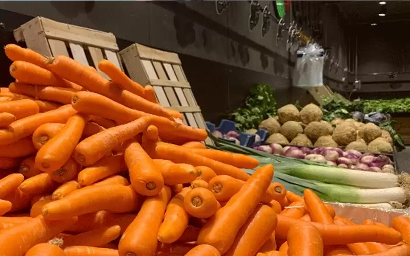 ارتفاع أسعار البصل والجزر بالأردن