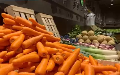 ارتفاع أسعار البصل والجزر بالأردن