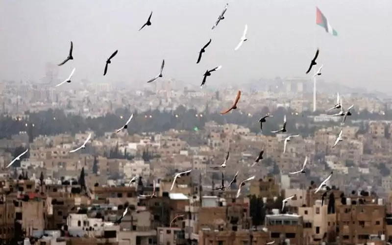 الأردن.. طقس لطيف اليوم ومنخفض جوي