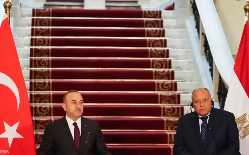 وزير خارجية مصر عن العلاقات مع