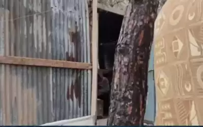 داخل غرفة زينكو .. .أردنية تعيش