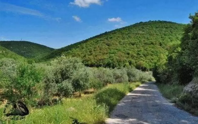 اجتماع بعجلون يبحث زيادة مخصصات استصلاح الأراضي

