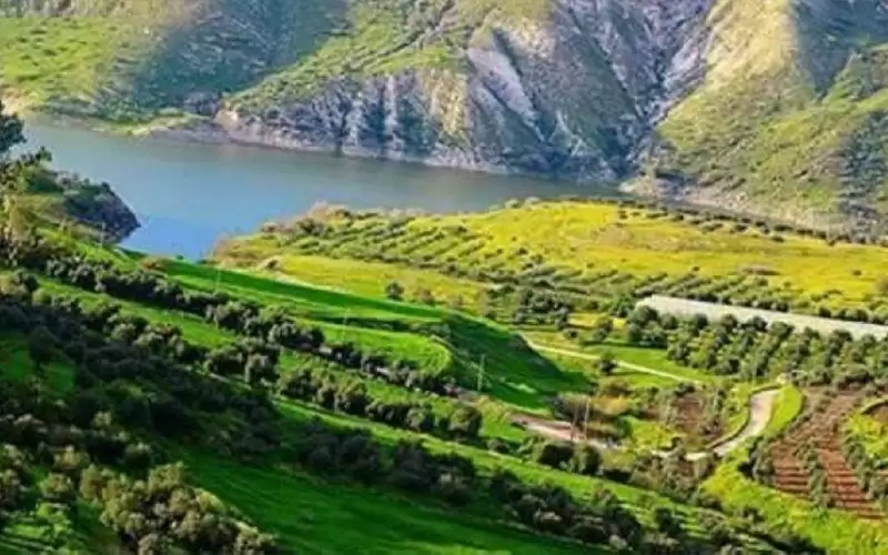 اختتام برنامج التوعية البيئية والسياحية بالأغوار