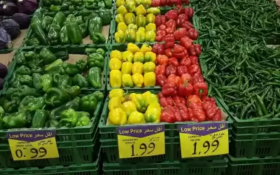 سعر كيلو الفلفل الحلو يقفز من