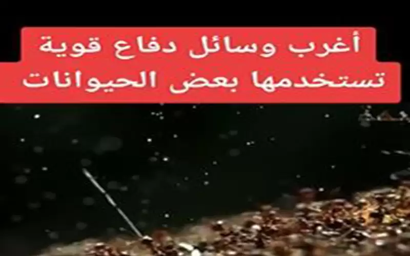 أغرب وسائل دفاع قوية تستخدمها بعض