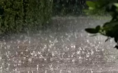 خلال الأيام الأولى من رمضان ..