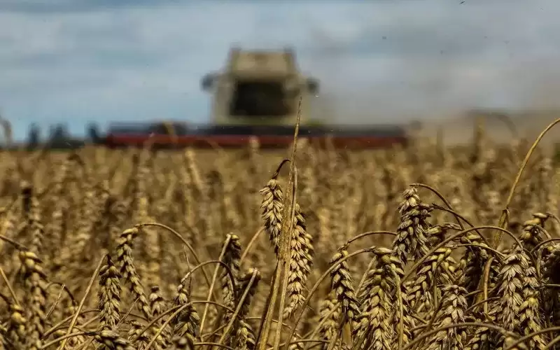 الأردن ينوي شراء 440 ألف طن