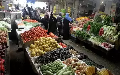 ارتفاع أسعار الخيار والليمون والباذنجان في