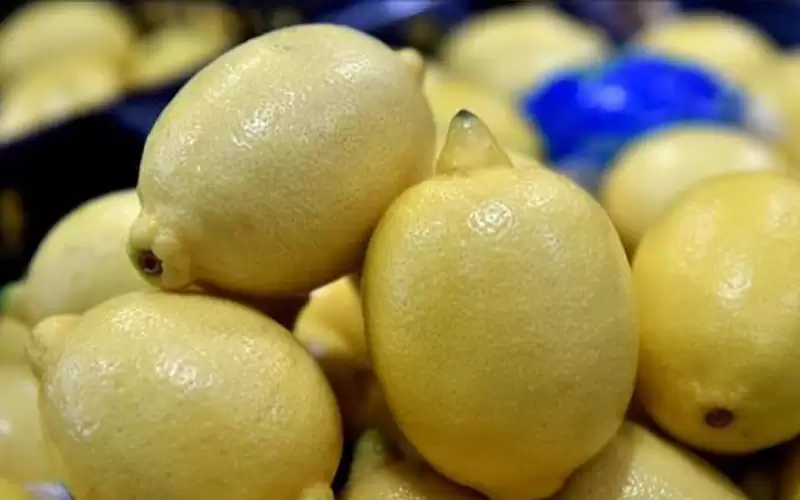 حماية المستهلك تطالب بوقف تصدير الخيار