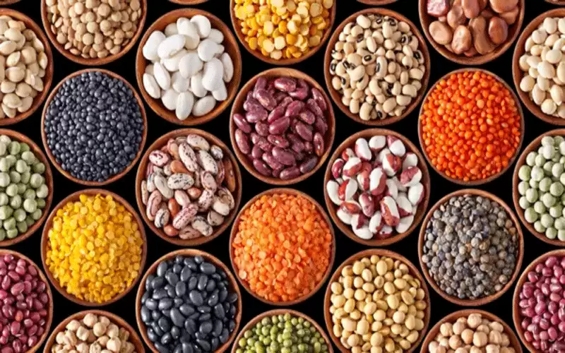 6 خيارات نباتية غنية بالبروتين تناسب