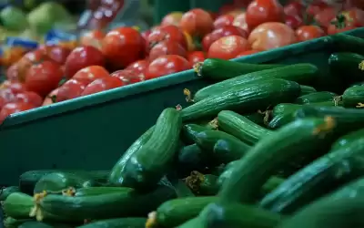 انخفاض أسعار الليمون والخيار في السوق