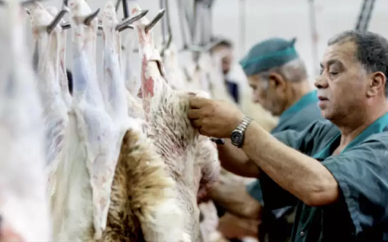 أسعار اللحوم البلدية تبلغ ذروتها والكيلو