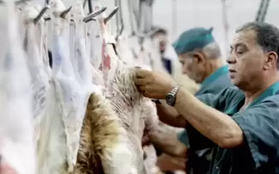 أسعار اللحوم البلدية تبلغ ذروتها والكيلو