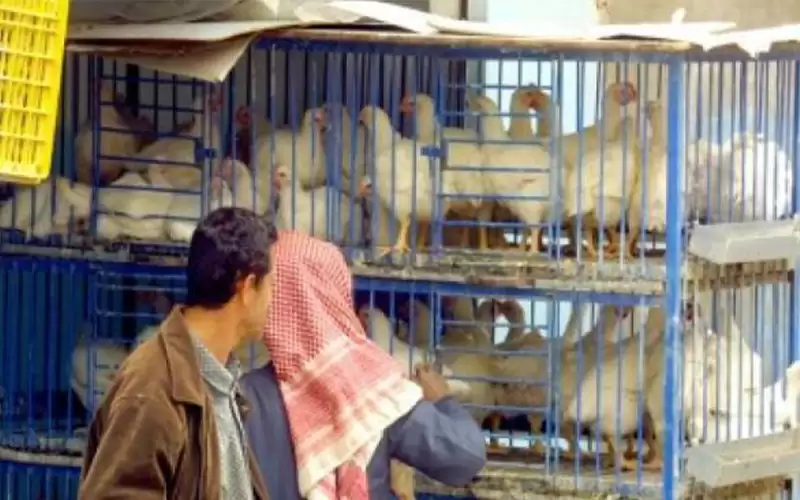 الصناعة والتجارة: التزام كبير لمحال بيع