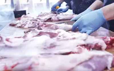 الزراعة: اللحوم المعروضة في السوق المحلي