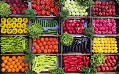 أسعار الخضار محليا الأربعاء