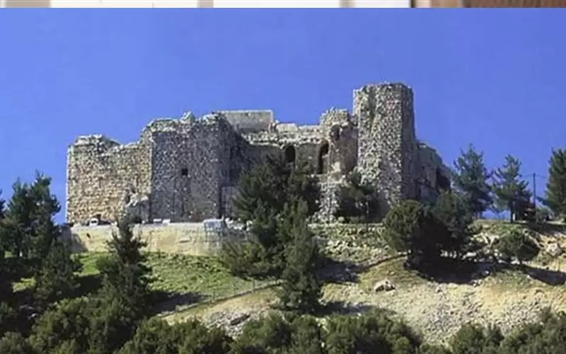 عجلون: انخفاض نسبة التعديات على الثروة