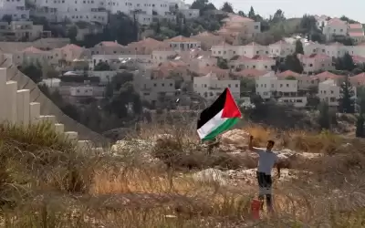 الإحصاء الفلسطيني: الاحتلال ينهب أكثر من