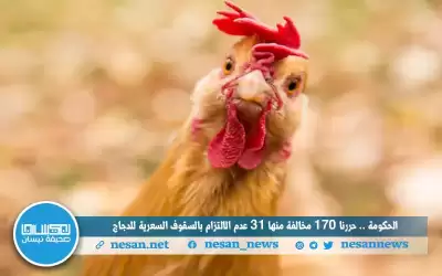 الحكومة .. حررنا (170 ) مخالفة