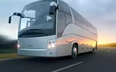 مطالب بالسماح للشركات السياحية بامتلاك حافلات