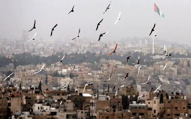 كتلة هوائية دافئة اعتبارا من الأحد