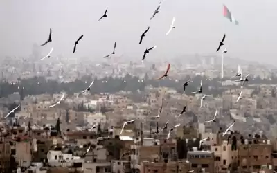 كتلة هوائية دافئة اعتبارا من الأحد