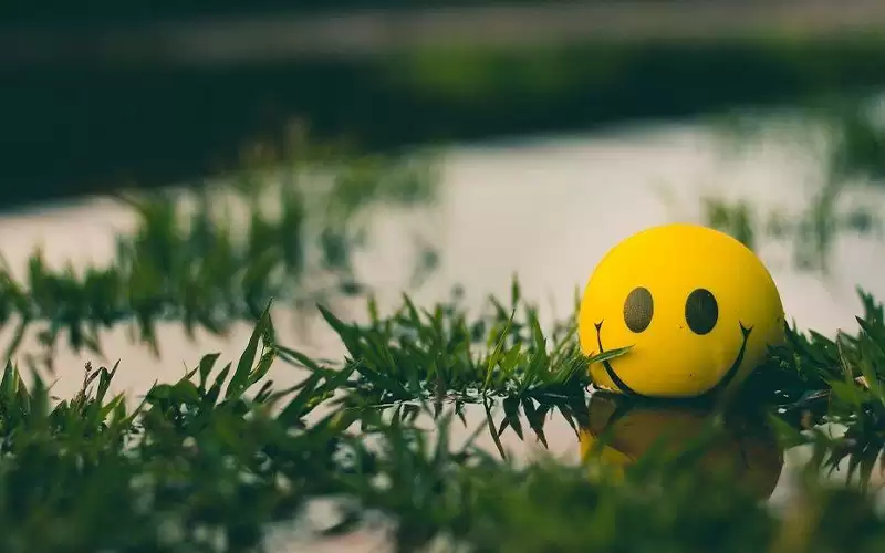 ما عدد السعرات الحرارية التي يتم