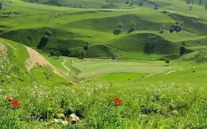 بعد الكتلة الهوائية الباردة.. أجواء ربيعية