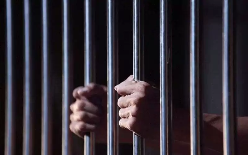 السجن 5 سنوات لمتهمين بالتلاعب الضريبي