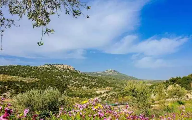 الأردن.. طقس ربيعي والحرارة أعلى من