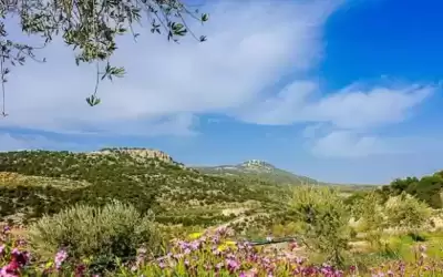 الأردن.. طقس ربيعي والحرارة أعلى من