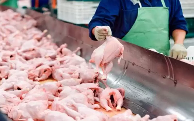 الصناعة تحرر 264 مخالفة منها 48