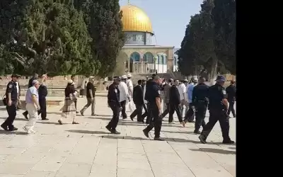 عشرات المستوطنين المتطرفين يقتحمون باحات الأقصى