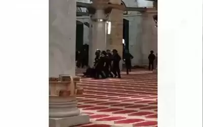 إصابات واعتقالات خلال اقتحام قوات الاحتلال
