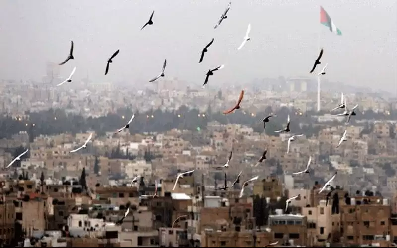 أجواء ربيعية لطيفة في أغلب المناطق