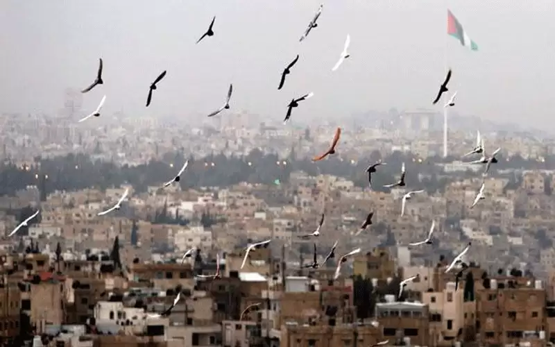 ارتفاع على درجات الحرارة الجمعة والسبت