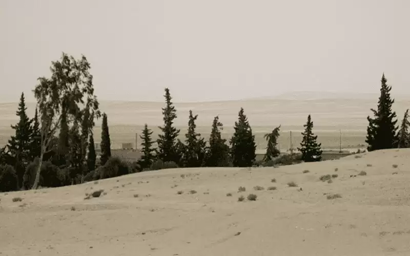 6 قتلى بانفجار لغم في سوريا