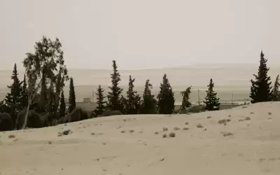 6 قتلى بانفجار لغم في سوريا