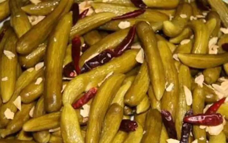 كم تبلغ كمية الغذاء المتلفة بالأردن