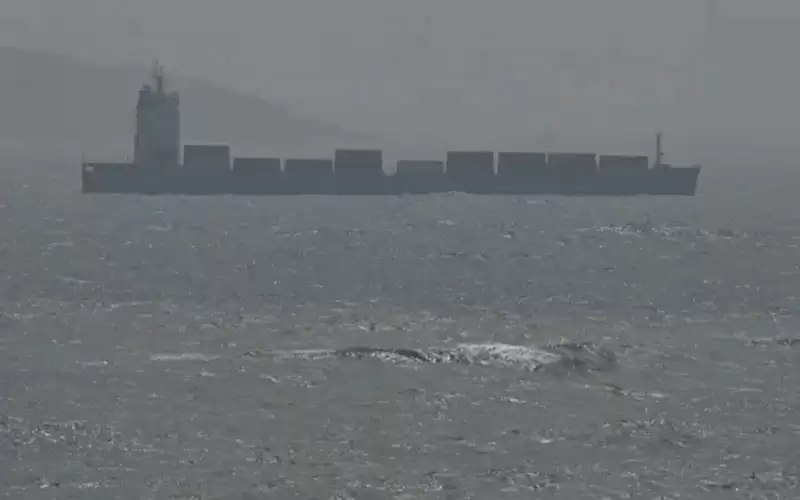 11 سفينة و20 طائرة .. تايوان: