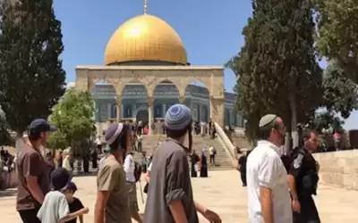 788 مستوطنا اقتحموا الأقصى منذ ساعات