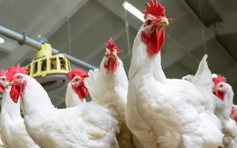 في العشر الأواخر .. اختراق سقوف