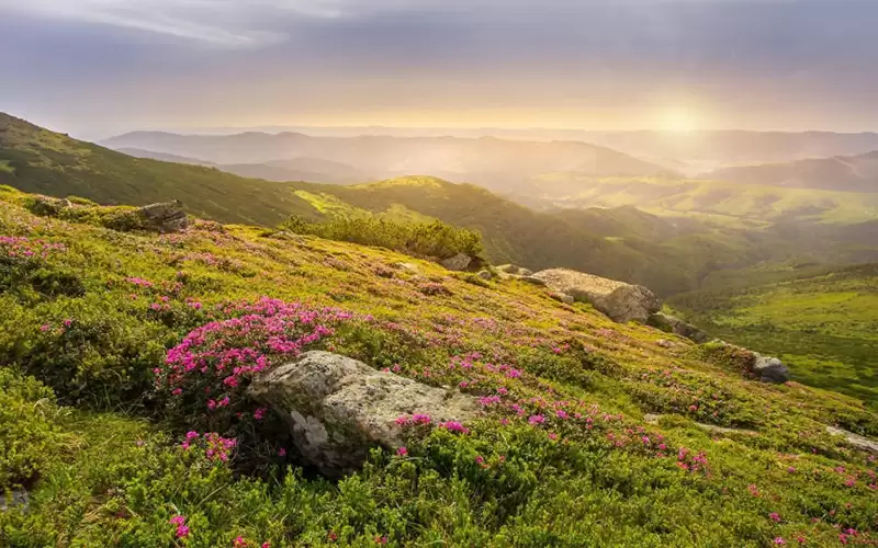 الأردن.. أجواء دافئة وارتفاعات على درجات