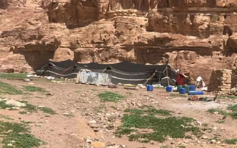 الصندوق الهاشمي لتنمية البادية ينفذ برنامجا