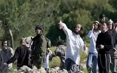 مستوطنون يرشقون فلسطينيين بالحجارة جنوب الخليل