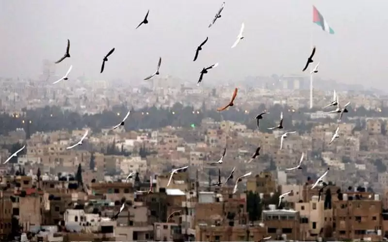 أجواء لطيفة بالمرتفعات وحارة بباقي المناطق