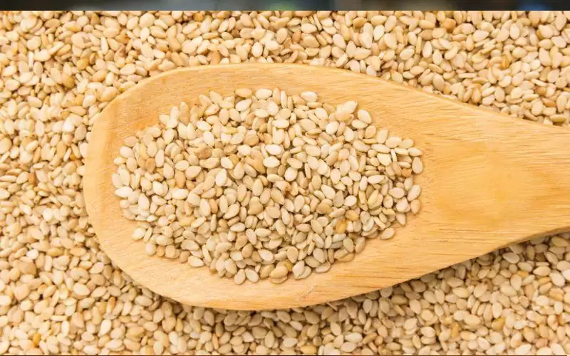 مستوردات الأردن من السودان معظمها بذور