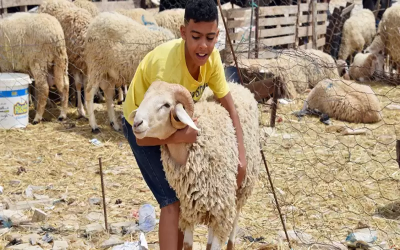 هذا موعد عيد الأضحى لهذا العام