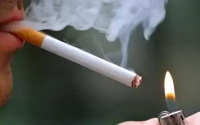 الحكومة: لا رفع للضرائب على الدخان