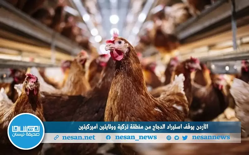 بسبب انفلونزا الطيور.. الأردن يوقف استيراد